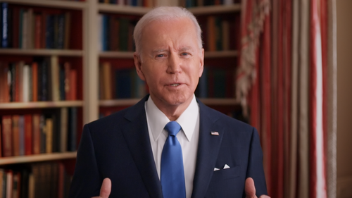 Joe Biden Year One campaign frame